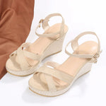 Delia Elegant Platform Wedge Sandals – product detail view 4
