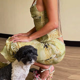 Fern Sheer Ruffle Camisole and Tiered Skirt Set
