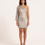 One Shoulder Sequin Mini Dress — Silver
